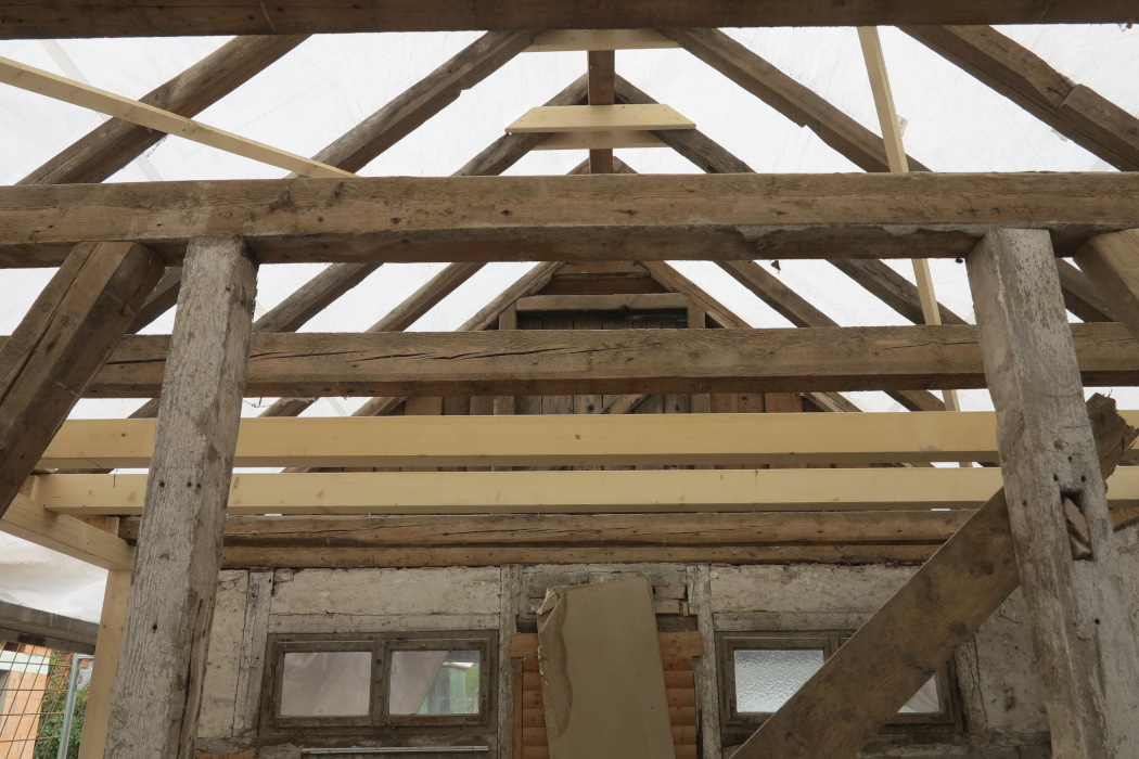 Architekturbüro Susanne Obermeyer - Draußenschule Ladenburg